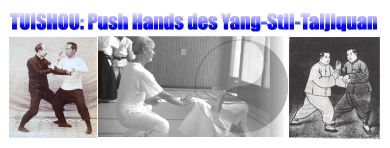 Push-Hands-Ausbildung Hannover- DTB-Vorstand Dr. Stephan Langhoff informiert über Treffen, Ausbildung, Unterricht, Training und Zertifizierung