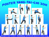 Tai-Chi-Form: Yang-Stil-103 für Heimstudium